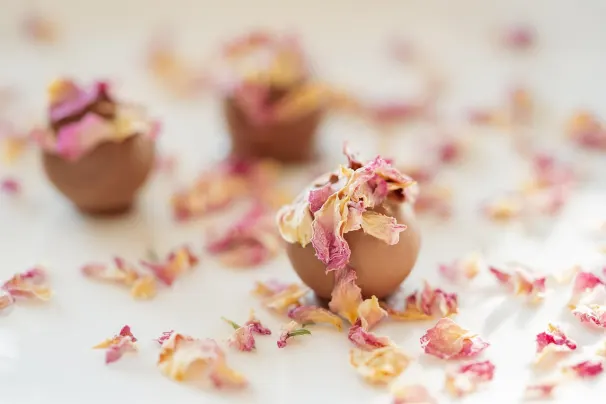 קזינו סאן פאלאס אפליקציית Android/iOS